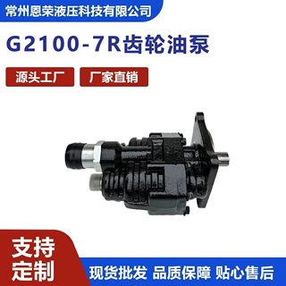 G2100-7R 高压齿轮泵 100cc 右旋液压油泵 工程机械装载机液压