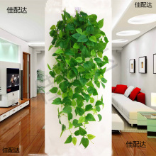 �G�}�L���b�  �ٗl�����~���҃ȱڒ�ٻ��Gֲ�젝���ϵ��m���@