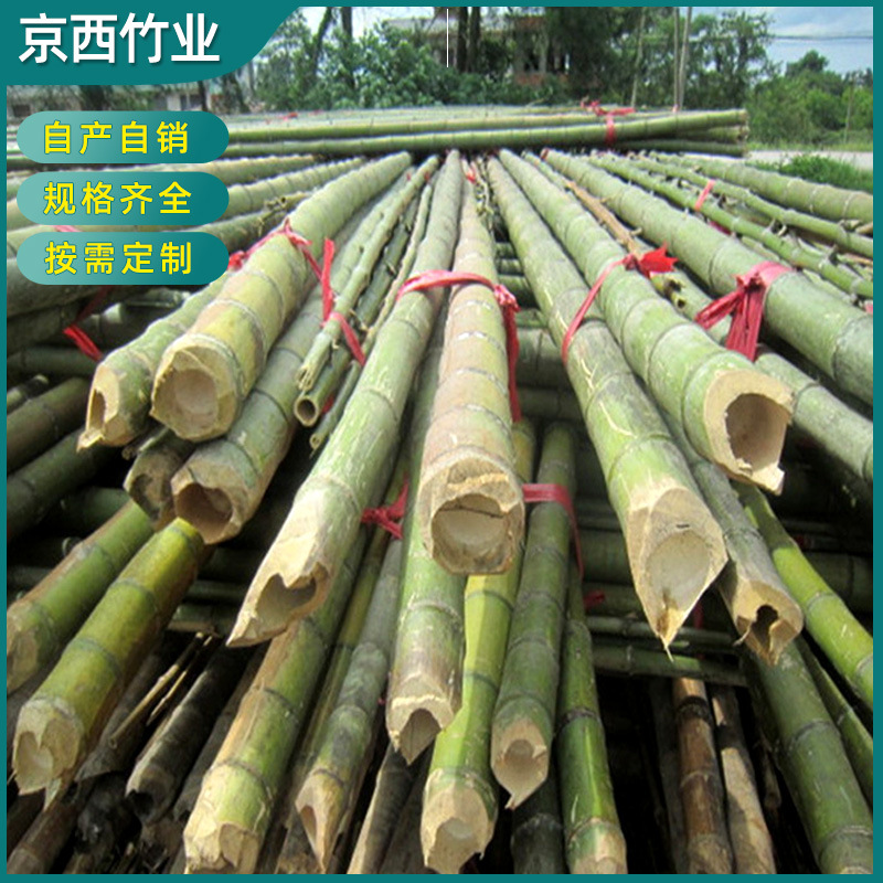 桂竹 6米—10米大棚竹竿 长竹竿 大竹竿 产地供应