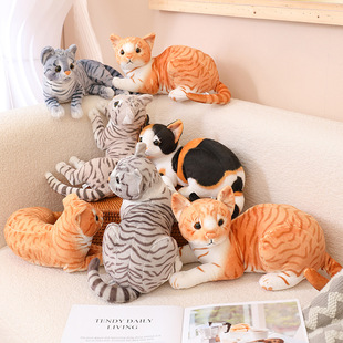 �羳����؈��ſ�����؈ë�q���С؈���Ѓ�ͯ�����Ů�����նY��