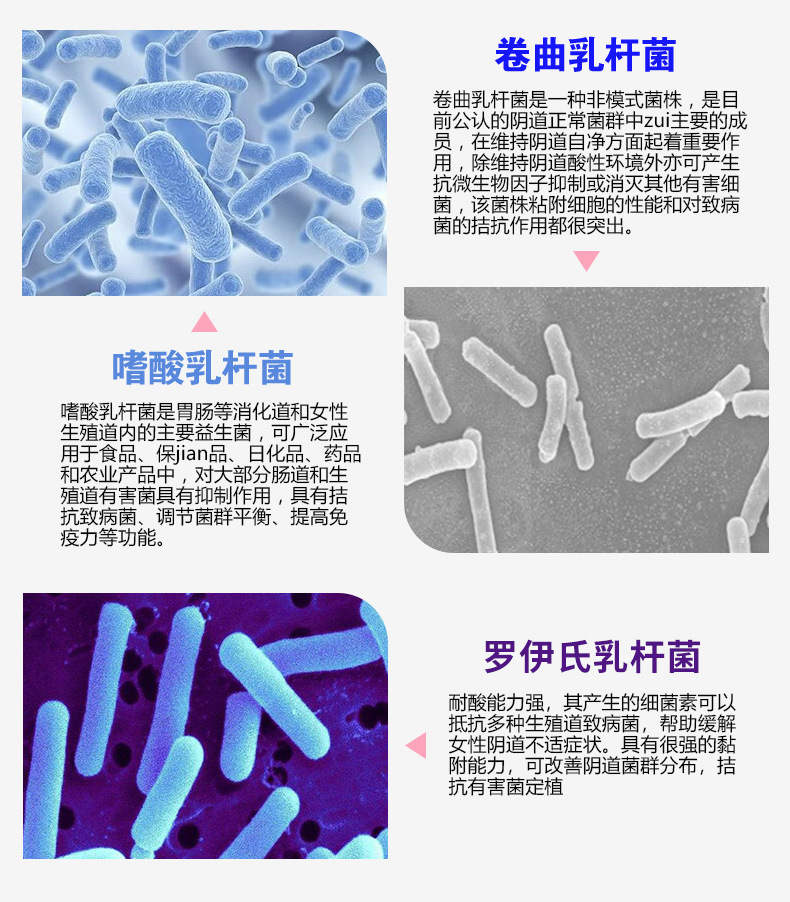 Women's Probiotic Intimate Care Tablets 0.5g Lactobacillus Daily Hygiene Support key features