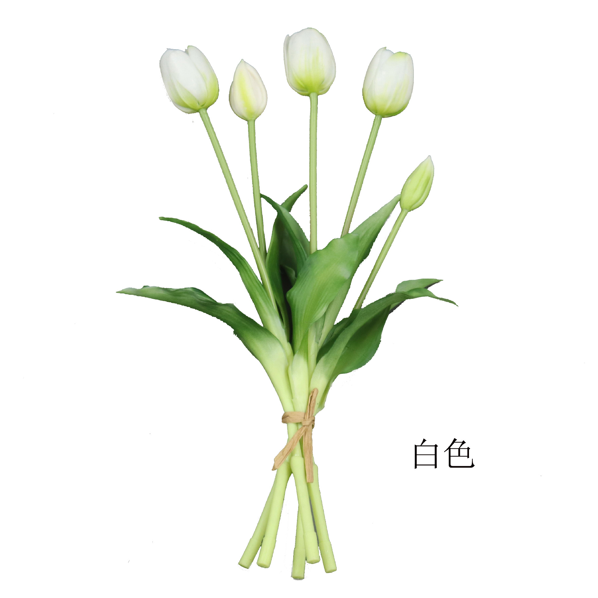 화이트