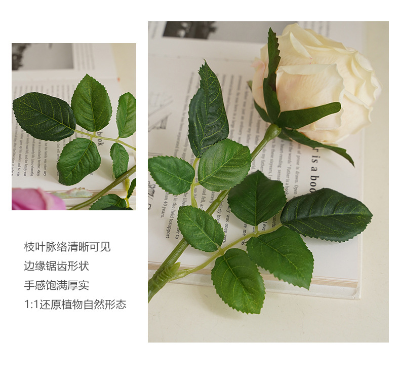 单枝奈斯玫瑰_12.jpg