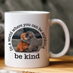 �羳Be Kind - Baby Punch Monkey�ƴ�����Сȭ���R�˱�