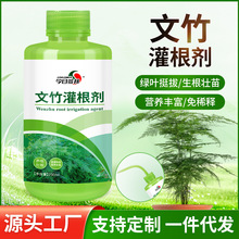 文竹专用浓缩营养液灌根剂水养植物肥料绿植生根叶面肥有机肥