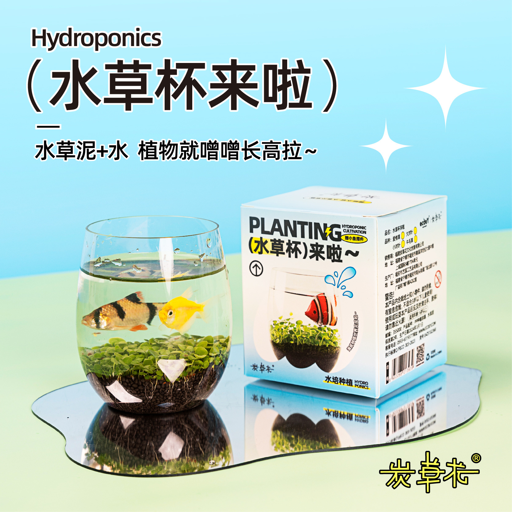 水培植物办公室桌面绿植微缩玻璃鱼缸种子盆景爱情草地摊批发盲盒