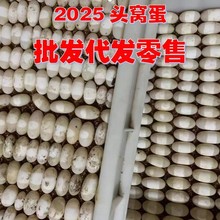�����������ܾ��ɷ����������{��������������������������