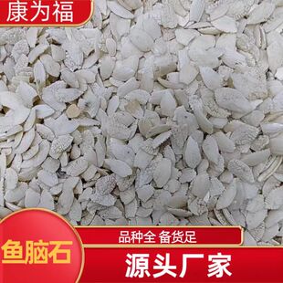 �~�Xʯ �~���� ʯ�׹� ��ș���~�Xʯ ���N�� �������