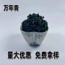 厂家供应脱水万年青青菜干方便面蔬菜包橄榄菜干脱水万年青菜干