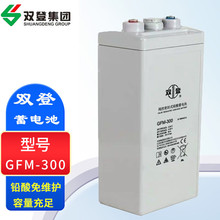 ˫GFM-300Ǧά2V300AhUPS EPSԴ ֱ
