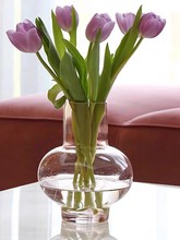简约竖口加厚粉色玻璃花瓶大肚子葫芦瓶客厅插花水养摆件透明磨砂