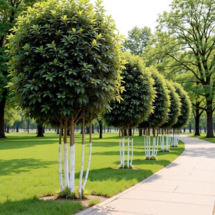 2026�������~���� �������~����Ǥ��С��ռ�ؘ��绨ƿ���͘�