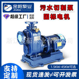 国标 自吸泵BZ/ZW自吸污水泵增压泵喷淋喷灌大流量高压泵 厂家