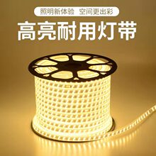 3YV5灯带led灯条 三色变光自粘220v工程特亮家用客厅灯槽吊顶户外