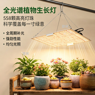 全光谱植物灯