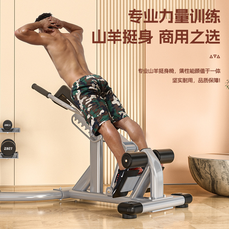 silla romana doméstica cabra estirador ajustable lumbar dorsal músculo abdominal entrenador multifuncional equipo de ejercicios profesionales
