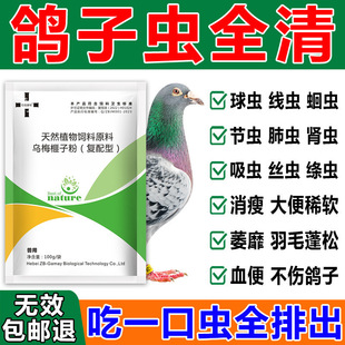 �����w������xș�������xș���x���xë���x���ô��xșȫ�x����ș