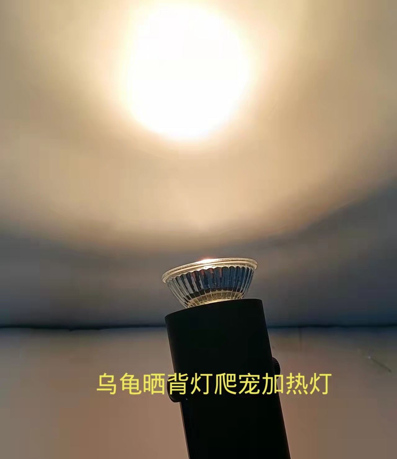 f78b6f47462de15bb95aa31c1e5c2b