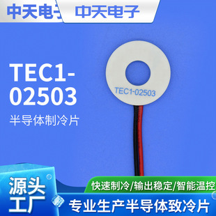 �댧�w����Ƭ  TEC1-02503�h������Ƭ ������������Ƭ