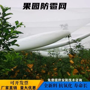 [厂家直销防雹网果园防鸟网农用防雹网冰雹网葡萄防冰雹网防雪网]