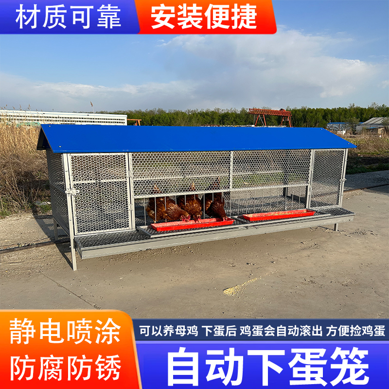 尖顶鸡笼室外饲养笼防鼠黄鼠狼防雨加密加厚鸭鹅兔芦丁鸡养殖笼子|undefined