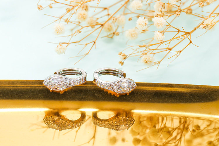 Unisex Gender Plating Design Simple Snake White Gold Copper Earrings