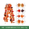 36 heads M type