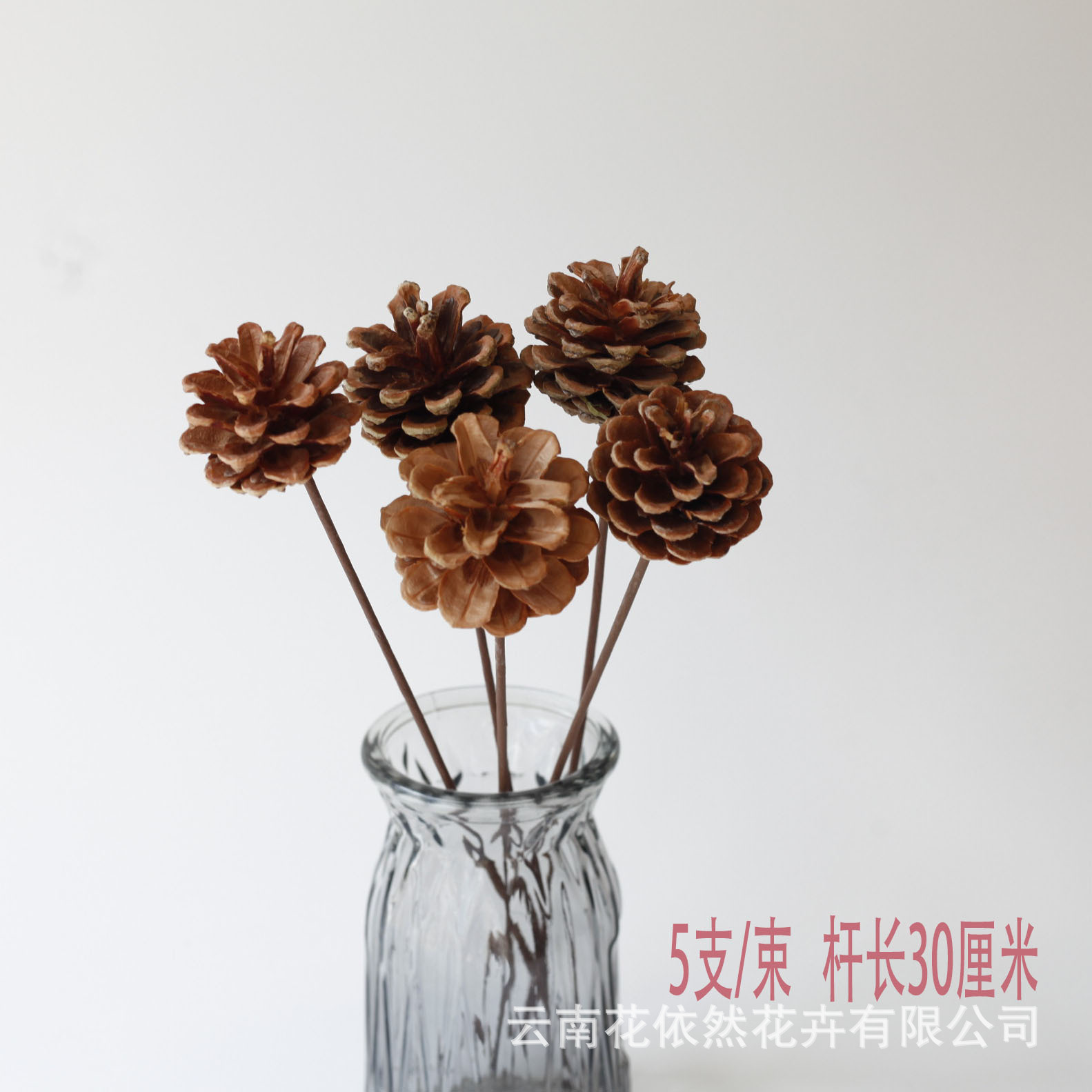 Flor seca Flor eterna Gypsophila Bola de oro No me olvides Flor seca Rosa hoja de eucalipto Pine Fruit Lover Grass al por mayor