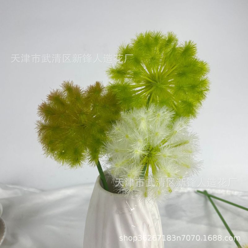 タンポポは玉ねぎの花球の造花撮影だけを模倣しています。|undefined