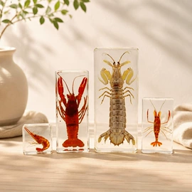 树脂工艺品;钥匙扣及钥匙扣配件;标本
