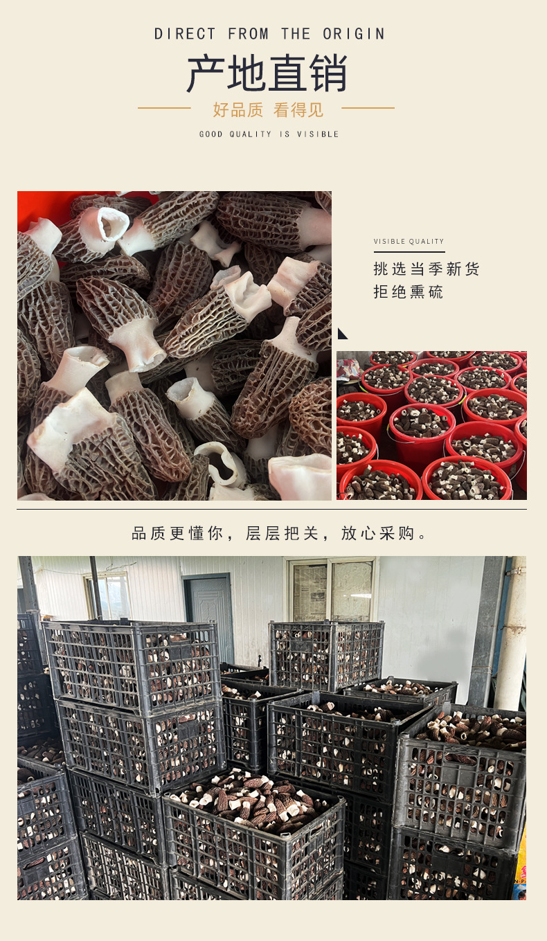 Dried Morel Mushroom Hand Selected Medium Grade 50g Natural Sun Dried Soup Ingredient key features