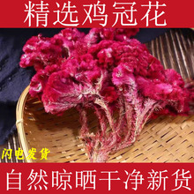 �u�ڻ���ș�����ڰ��u�ڻ��ɻ��u�ڻ�ș�ø�؛�Pβ��t�u�ڻ��ݲ�