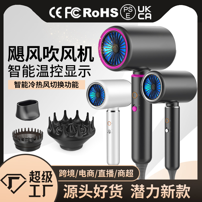New temperature control hair dryer household large wind hair salon high power 2000W electric hair dryer cross-border Amazon