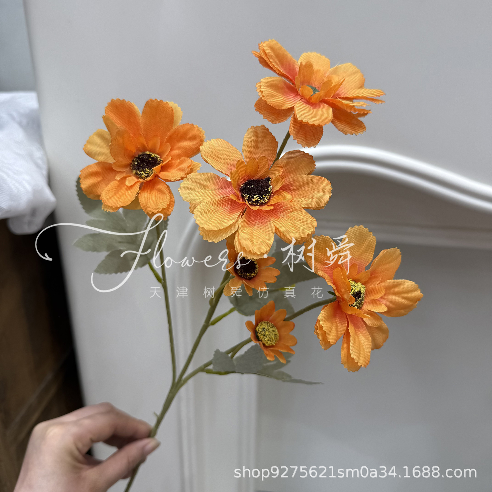 6 해바라기의 머리