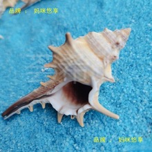 ��Ȼؐ�����ݺ���5-9cm�Ҿ��~��ˮ���^��Ӱ΢���^�[�