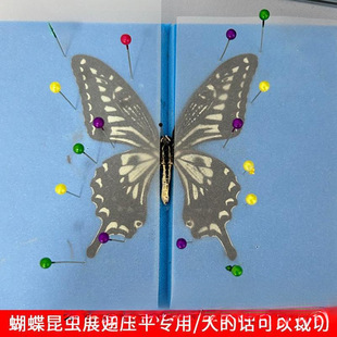 Sulfuric Acid Paper Translucent Butterfly Wing Spreading and Stereotyped Natural Air-Drying Insect Specimen Making Tool Press