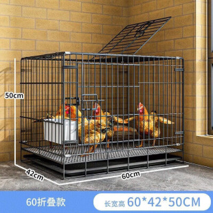 鸡笼子家用特大号室内养鸡笼自动清粪室外鸭笼子鸽子鸡舍笼子鸡窝-阿里巴巴