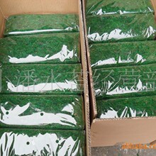 Ⱦɫ��̦�\ �@�ָ��w�����^���w����|�Ļ����m���m��