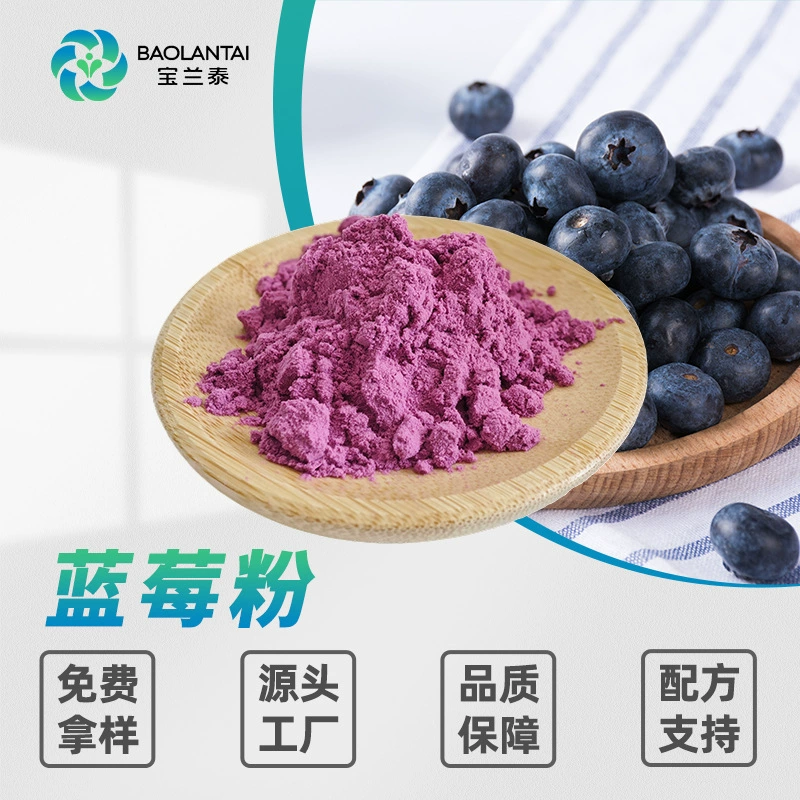 Черничный порошок, твердый напиток, сырье, экстракт черники, пищевой завод, водорастворимый фруктовый порошок черники на складе, бесплатная доставка