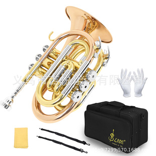 �S�����l����̖�������~����С̖������B�{���W�����������С̖
