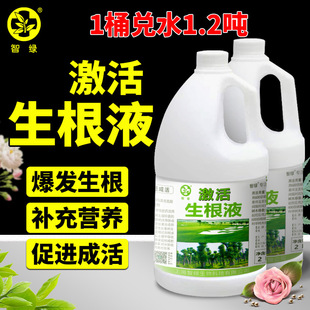 Plant Rooting Solution Fruit Tree Transplanting Rooting Agent Seedling Lawn Rooting Agent Universal Nutrient Solution