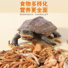 ���Zͨ�Þ������С����ˮ���������������A��ʳ��ˮ�r���~���x��