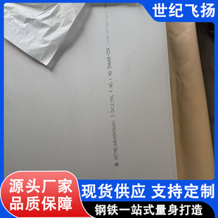 ���o�w�P   ���P䓰� 304 316L 2507 2205 310S ��܈�� ֧�� ���z