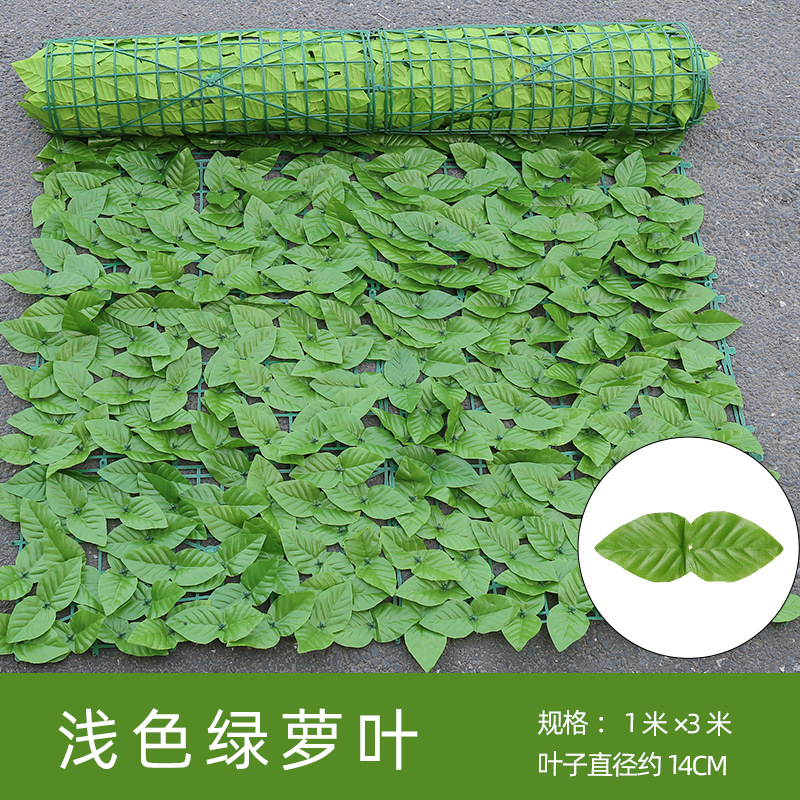 Hojas de rábano verde claro