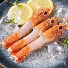 1000g超大国产海鳌虾新鲜野生鲜甜日料刺身海捕速冻海鲜水产顺丰