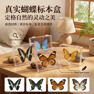 �挍�����˱�͸�����ϺД[�� ����Ҿӿ͏d�b�Ʒ ���x�ۺ����ղ�