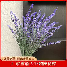 ޹�²ݷ��滨���_��˹�ٻ��廨�[�������b����ϻ�����c��ˇ���^