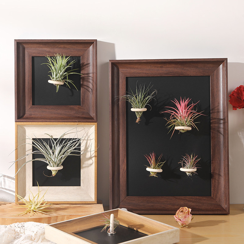 Air Plant Retro High-End Photo Frame Empty Frame Display Stand American-Style Vintage Square Picture Frame Custom Digital Oil Painting Air Plant Retro High-End Photo Frame Empty Frame Display Stand American-Style Vintage Square Picture Frame Custom Digital Oil Painting