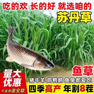 �M���K���ݷN���ļ��߮a���ݷN�Ӷ������Bֳ�iţ���u���Z�~���ѷN