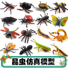 仿真昆虫玩具大号模型套装生日礼物蝴蝶蜻蜓金龟子幼儿园教学套装